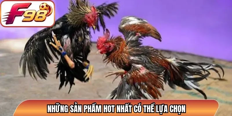 Những sản phẩm hot nhất có thể lựa chọn