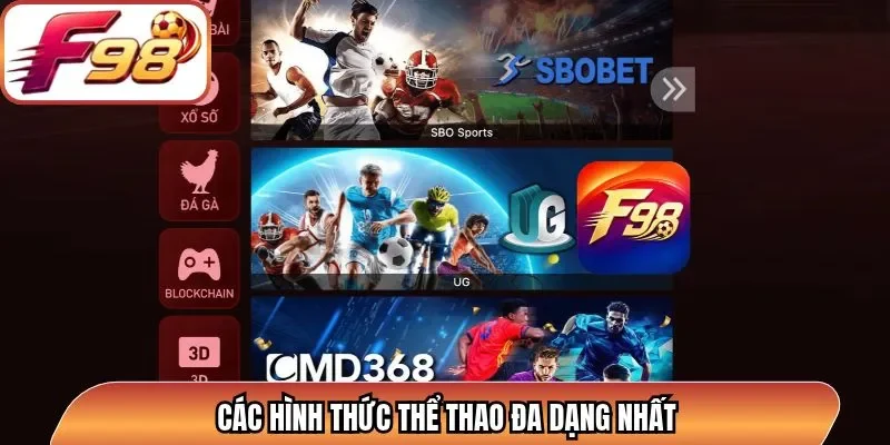 Các hình thức thể thao đa dạng nhất